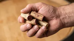 Poklad upcyklingu: opravte nábytok, ktorý poškriabe podlahu a vydáva hluk, pomocou korku